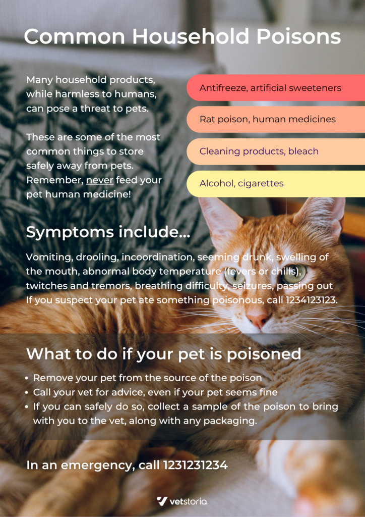 Poster template to use in veterinary clinic to educate pet owners about pet poisoning for good veterinary marketing