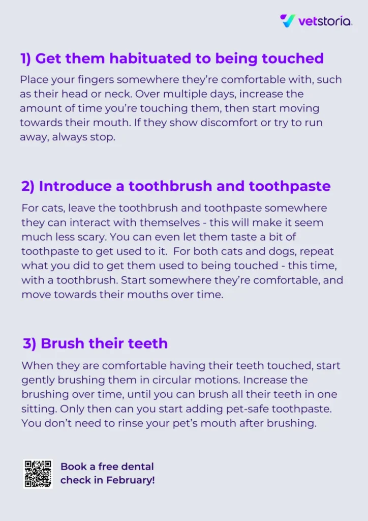 How-to-Brush-Teeth-pet-dental-content-pack-by-Vetstoria-back
