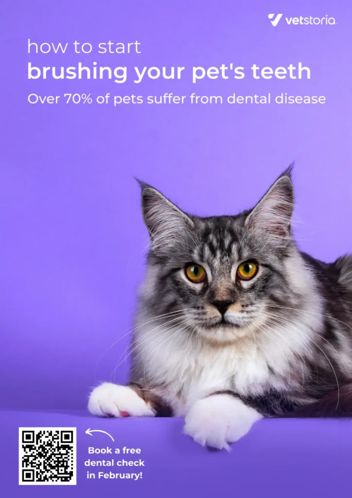 How-to-Brush-Teeth-pet-dental-content-pack-by-Vetstoria-front