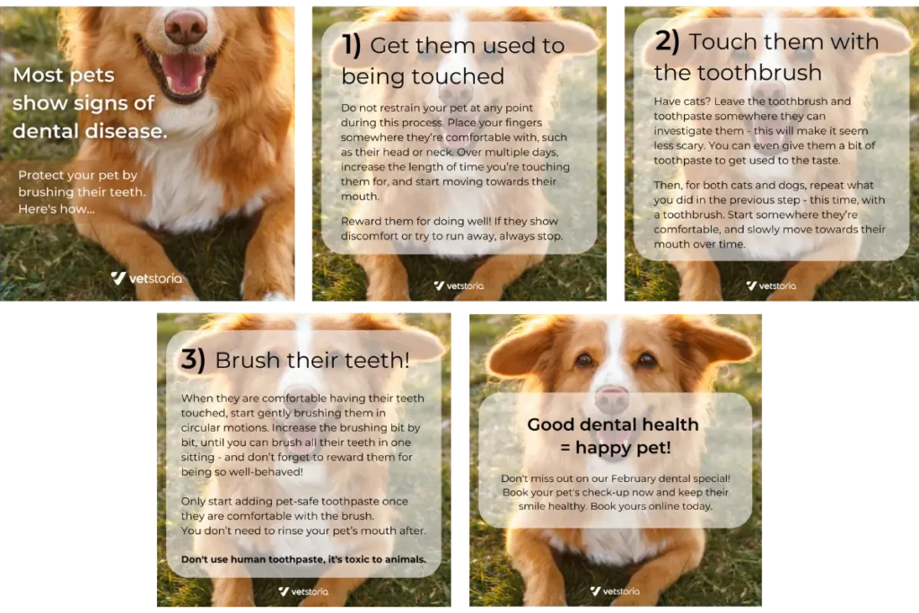 How-to-Brush-Teeth-pet-dental-content-pack-instagram-by-Vetstoria