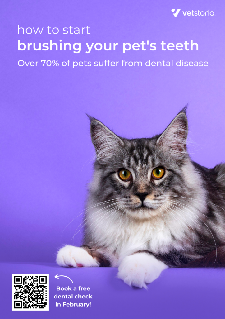 Front page: Flyer template from Pet Dental Content Pack