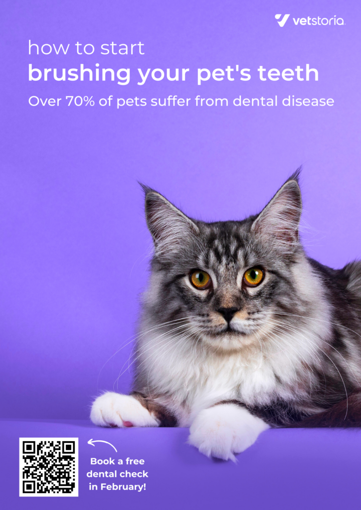 animal dental poster