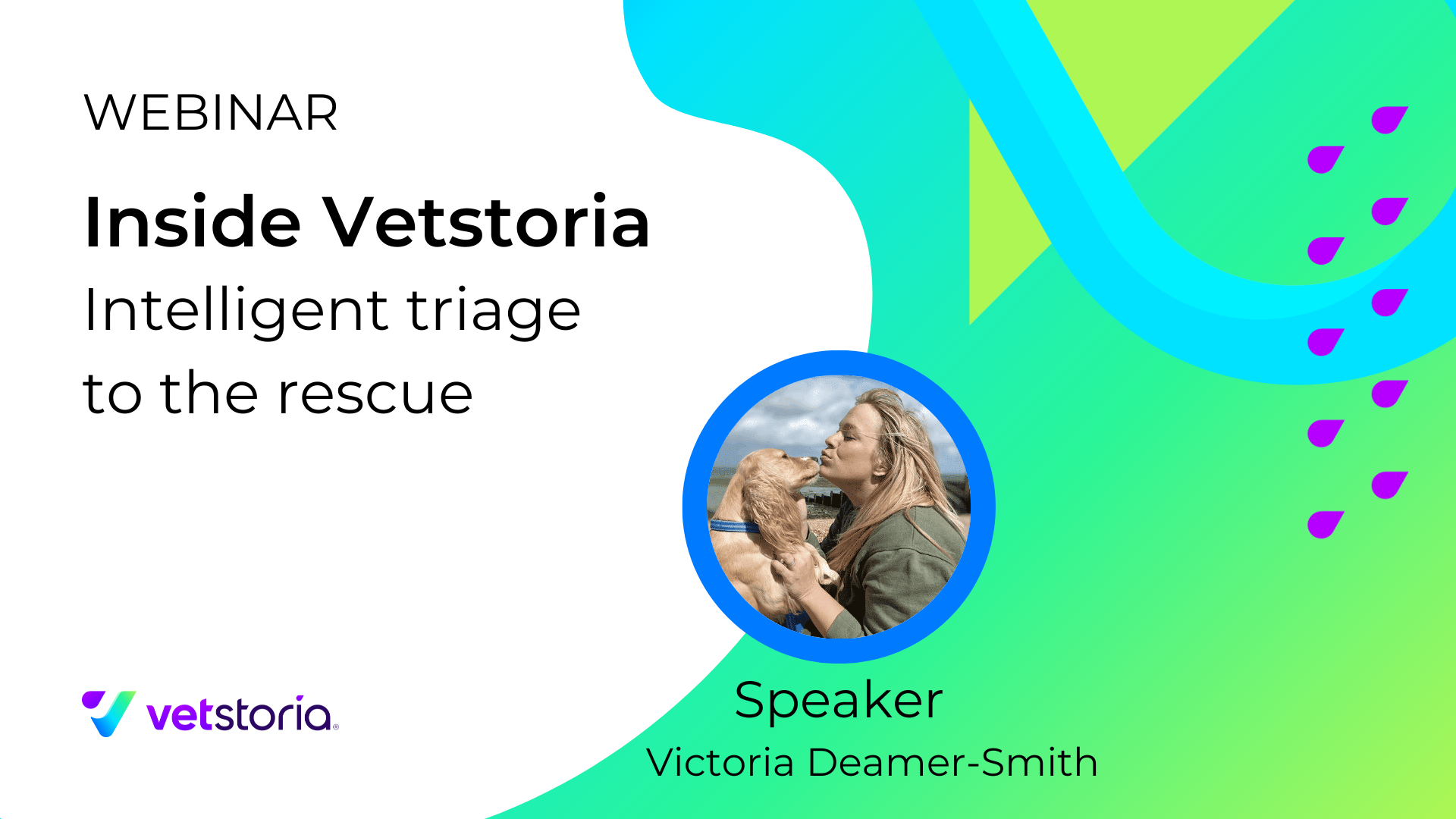 Inside Vetstoria Intelligent triage to the rescue