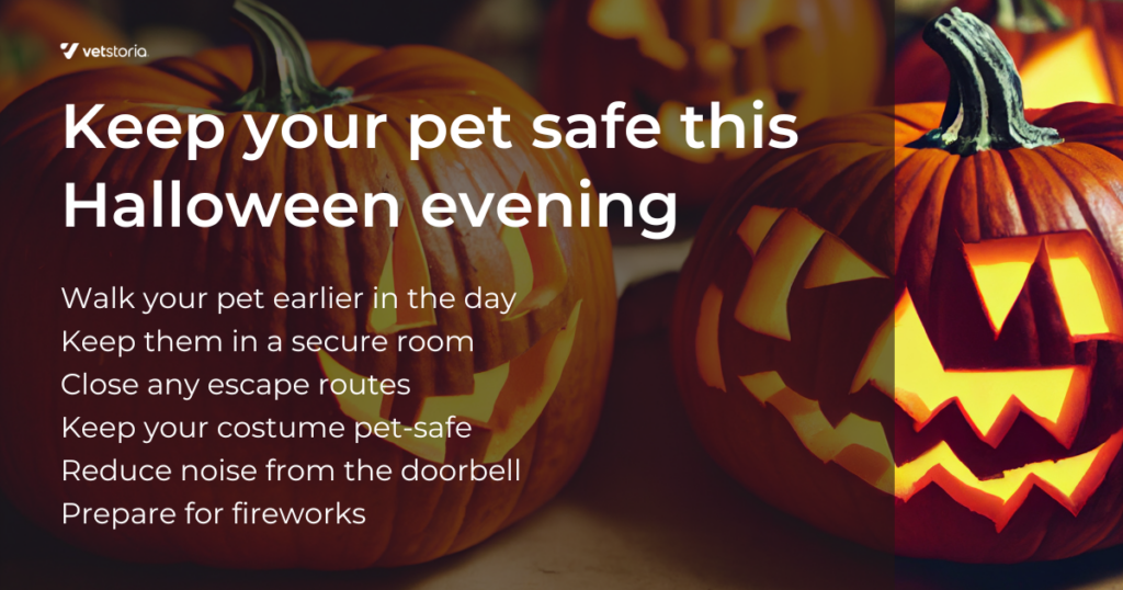 How to keep your pets safe this Halloween evening