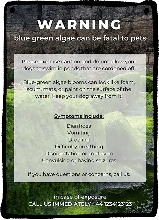 Cyanobacteria Blue Green Algae Poster Mockup Template