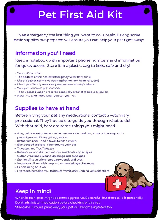 Pet first discount aid kit contents