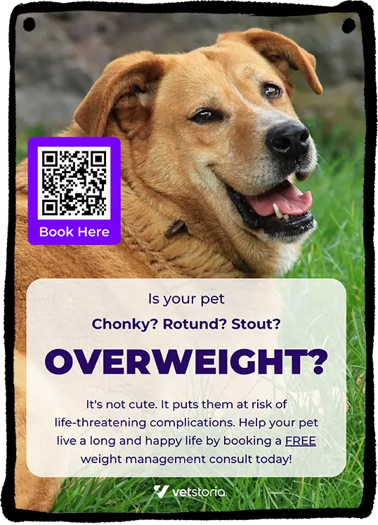 Pet Obesity Weight check Poster Mockup Template