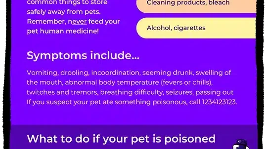 Pet Poison Prevention Poster Mockup Template