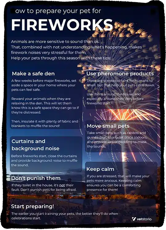 Prepare pet for fireworks Poster Mockup Template