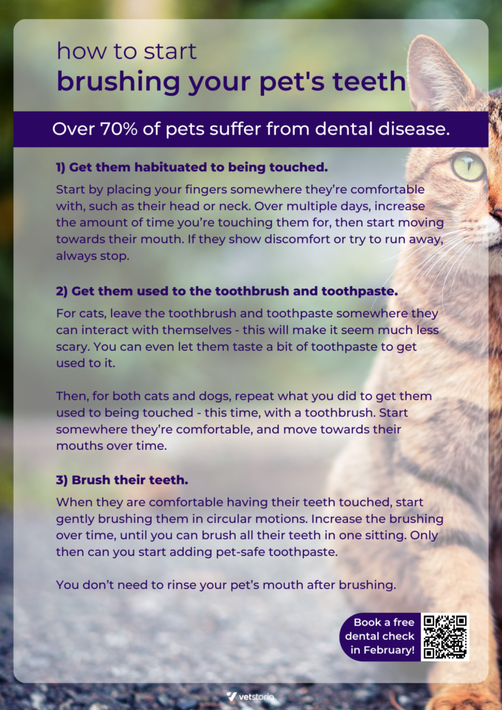 Poster for Pet Dental Health Month with QR code to be used for effective veterinary marketing