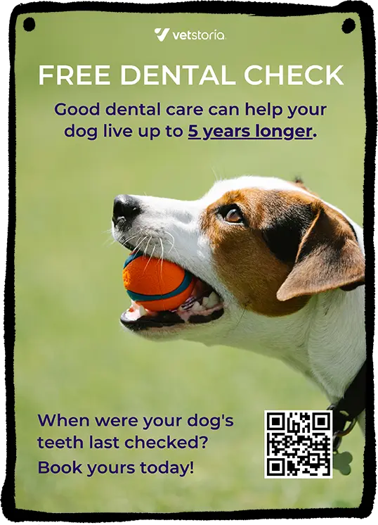 pet free dental check Poster Mockup Template