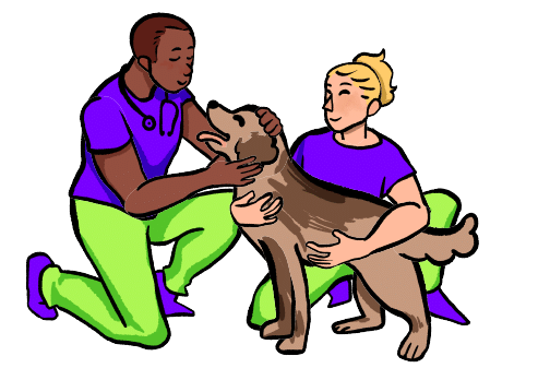 illustration of VetTeam-holding-dog