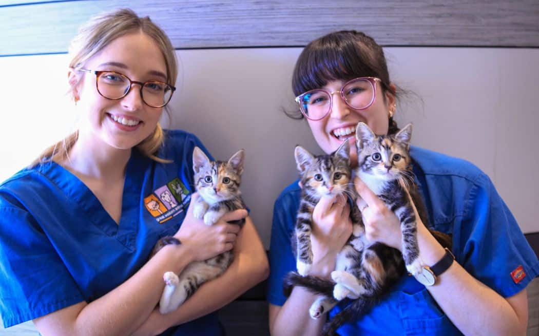 Great Western Animal Hospital - front staff with pets