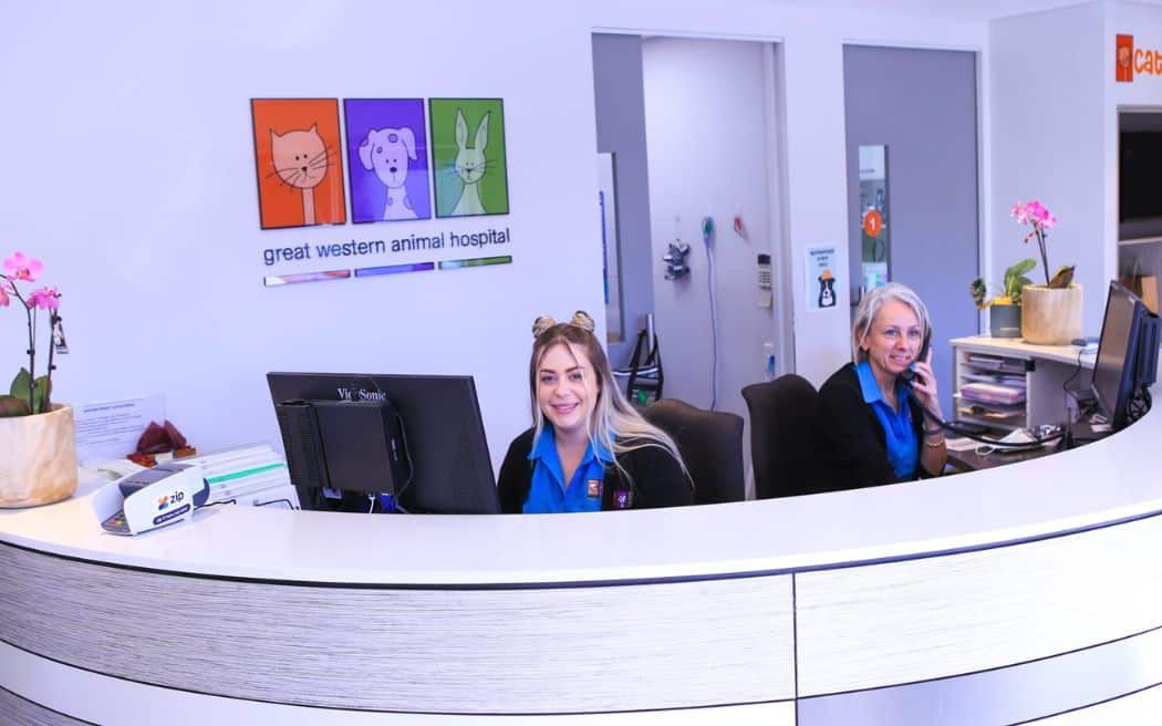 Great Western Animal Hospital - front staff