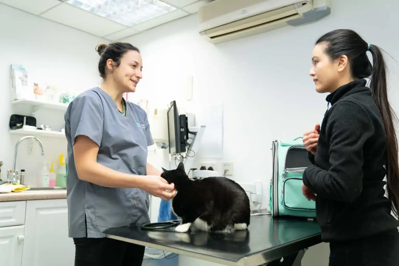 Vetstoria case study - Pennard Vets image 1