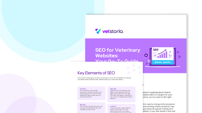 VS SEO guide for veterinary websites
