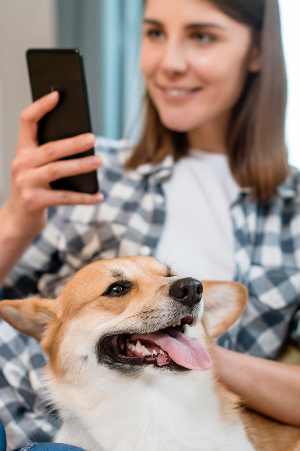 Vetstoria Chat pet owner using phone 1