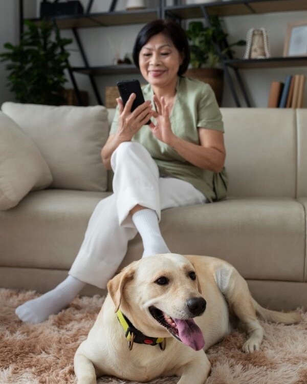 pet owner using phone on couch