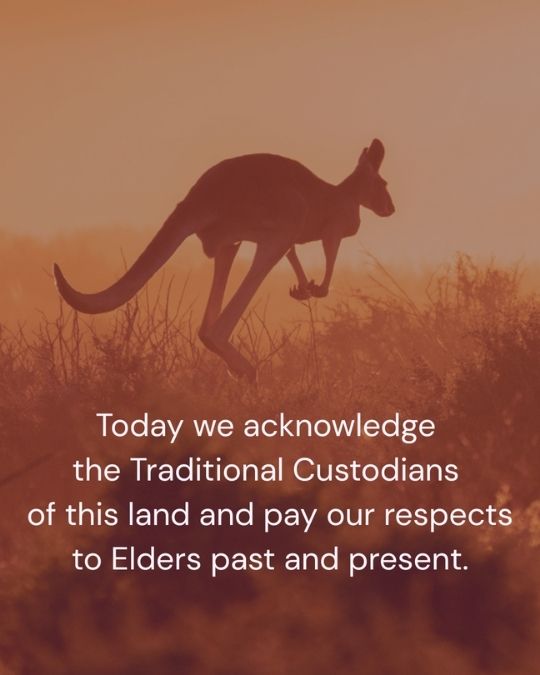 Vetstoria 2026 January freebies 10