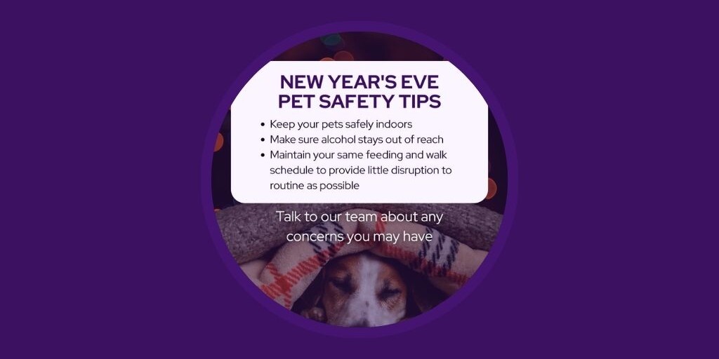 Vetstoria Veterinary marketing Ideas for January to Boost Engagement AU & NZ