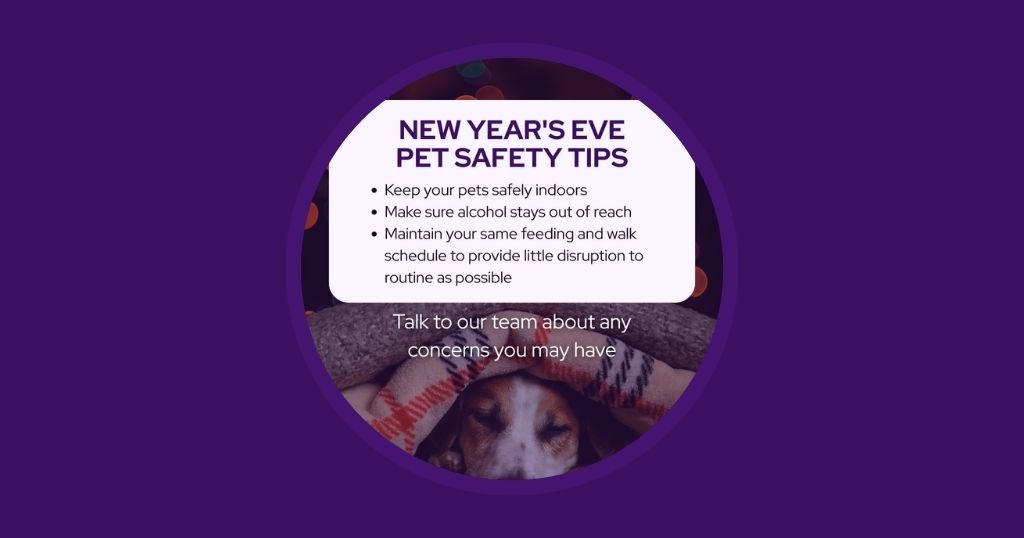 Vetstoria Veterinary marketing Ideas for January to Boost Engagement AU & NZ