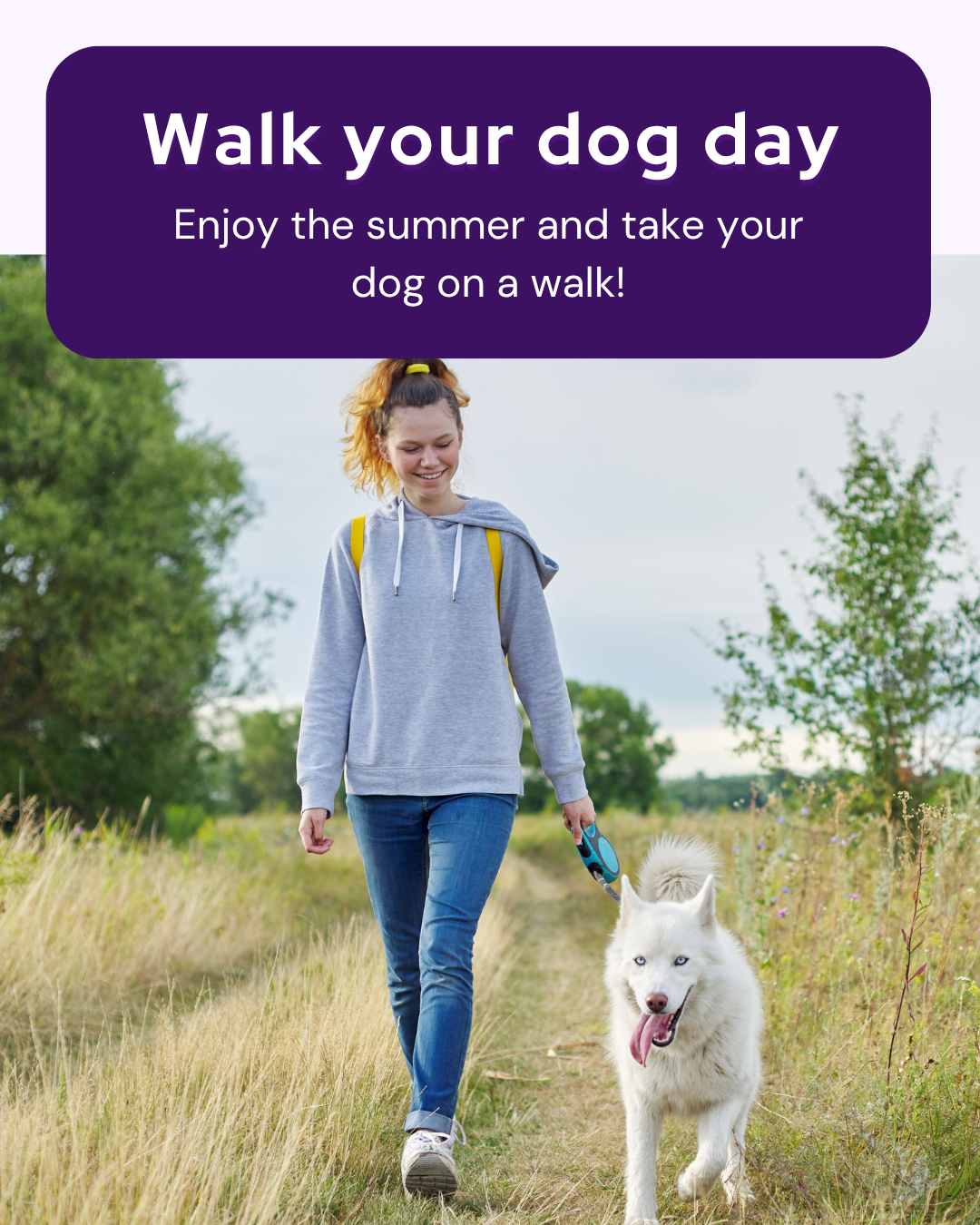 Vetstoria marketing freebies for February 11