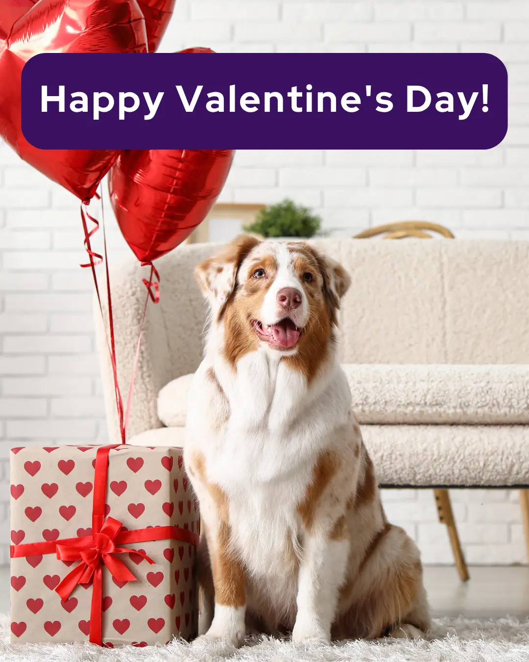 Vetstoria marketing freebies for February 6