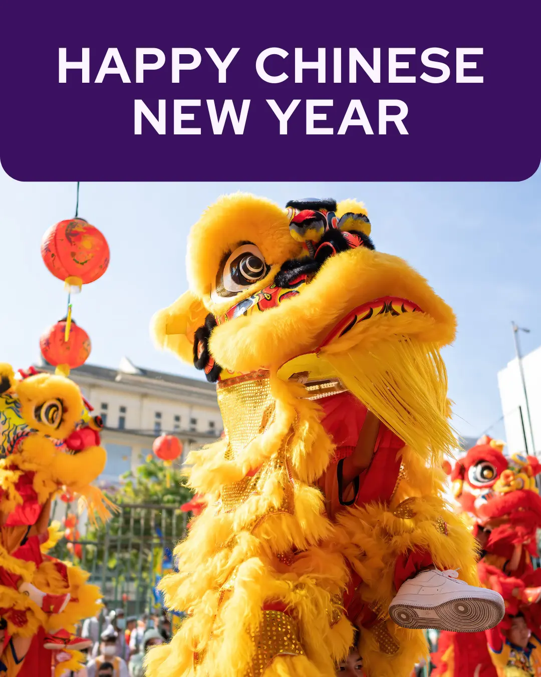 Vetstoria marketing freebies for February 7