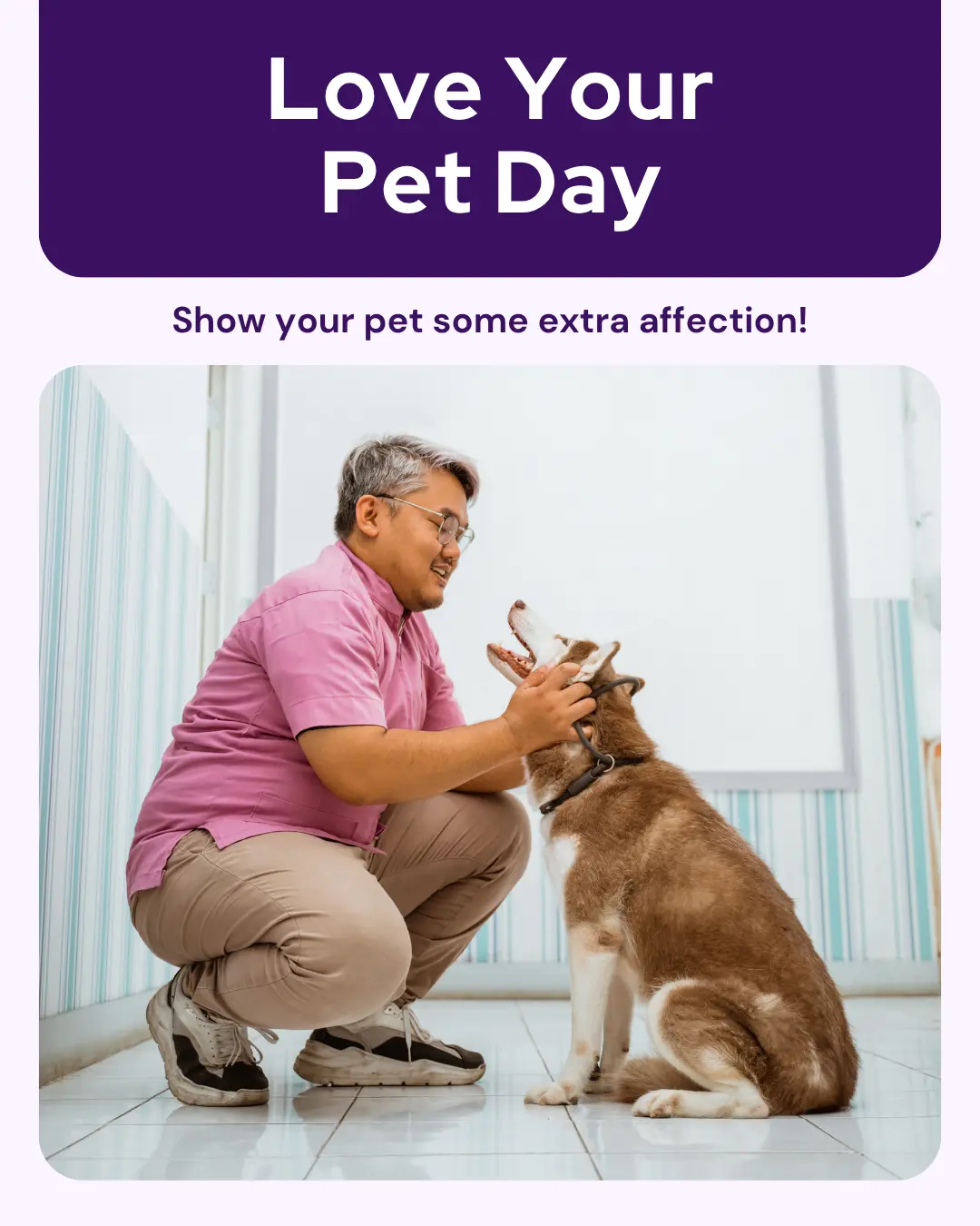 Vetstoria marketing freebies for February 8