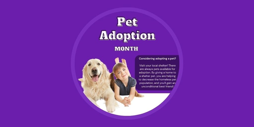 8 Veterinary Marketing Ideas for March Australia edition Vetstoria march freebies