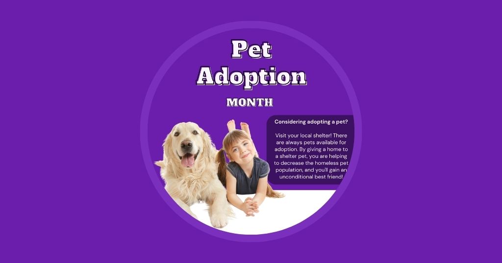 8 Veterinary Marketing Ideas for March Australia edition Vetstoria march freebies
