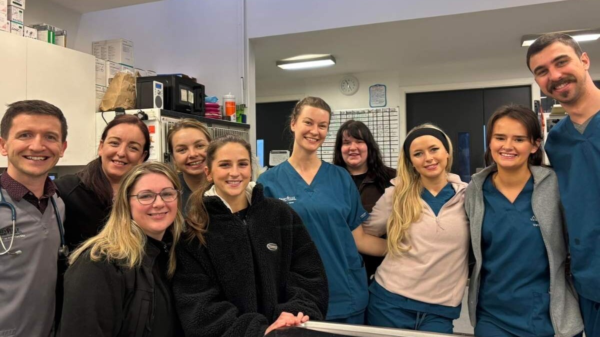 Abbeyville Veterinary Hospital - Vetstoria case study image 2