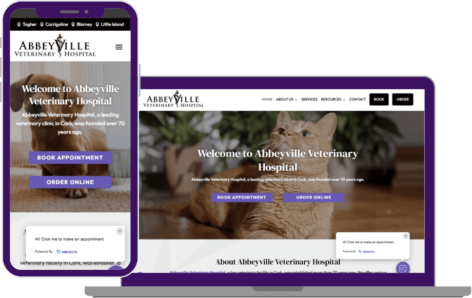 Abbeyville Veterinary Hospital website - Vetstoria case study image 3