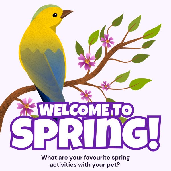 First Day of Spring march
