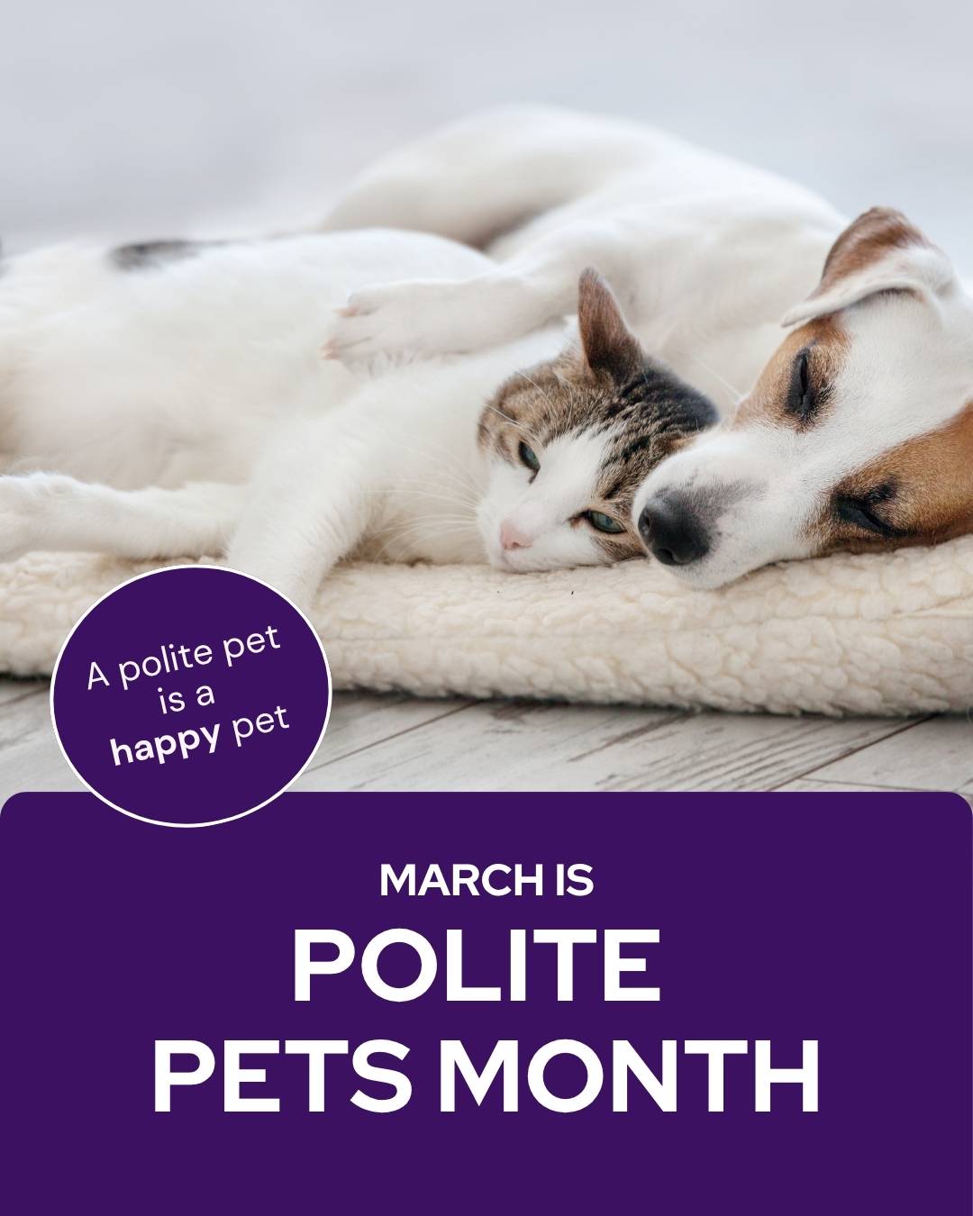March veterinary marketing freebies AU NZ 1