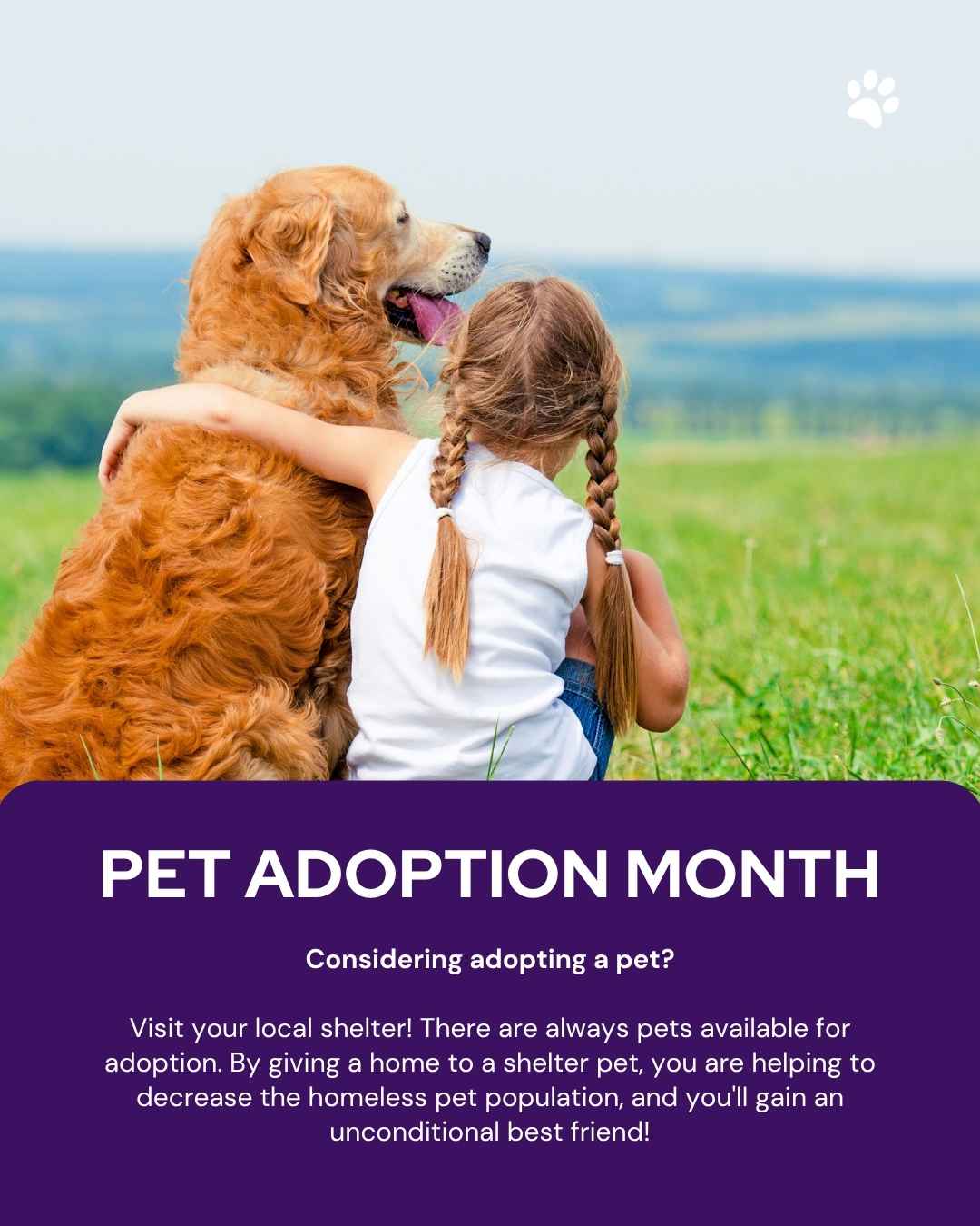 March veterinary marketing freebies AU NZ 2