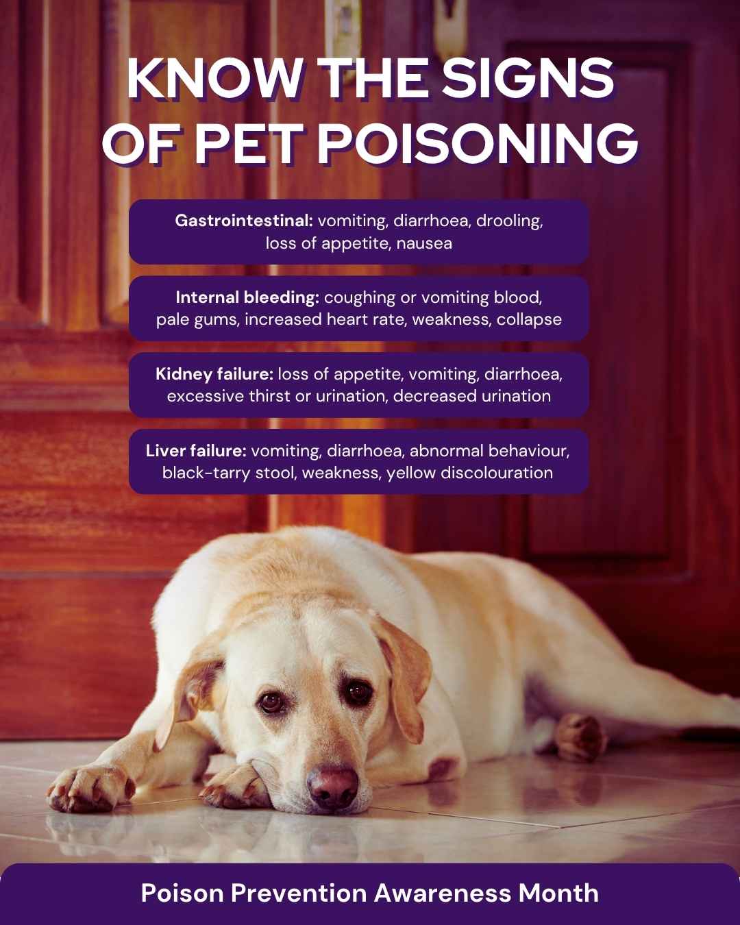 March veterinary marketing freebies AU NZ 3