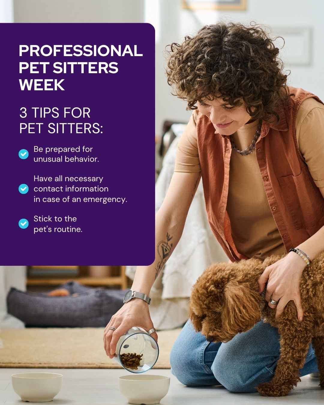 March veterinary marketing freebies AU NZ 4