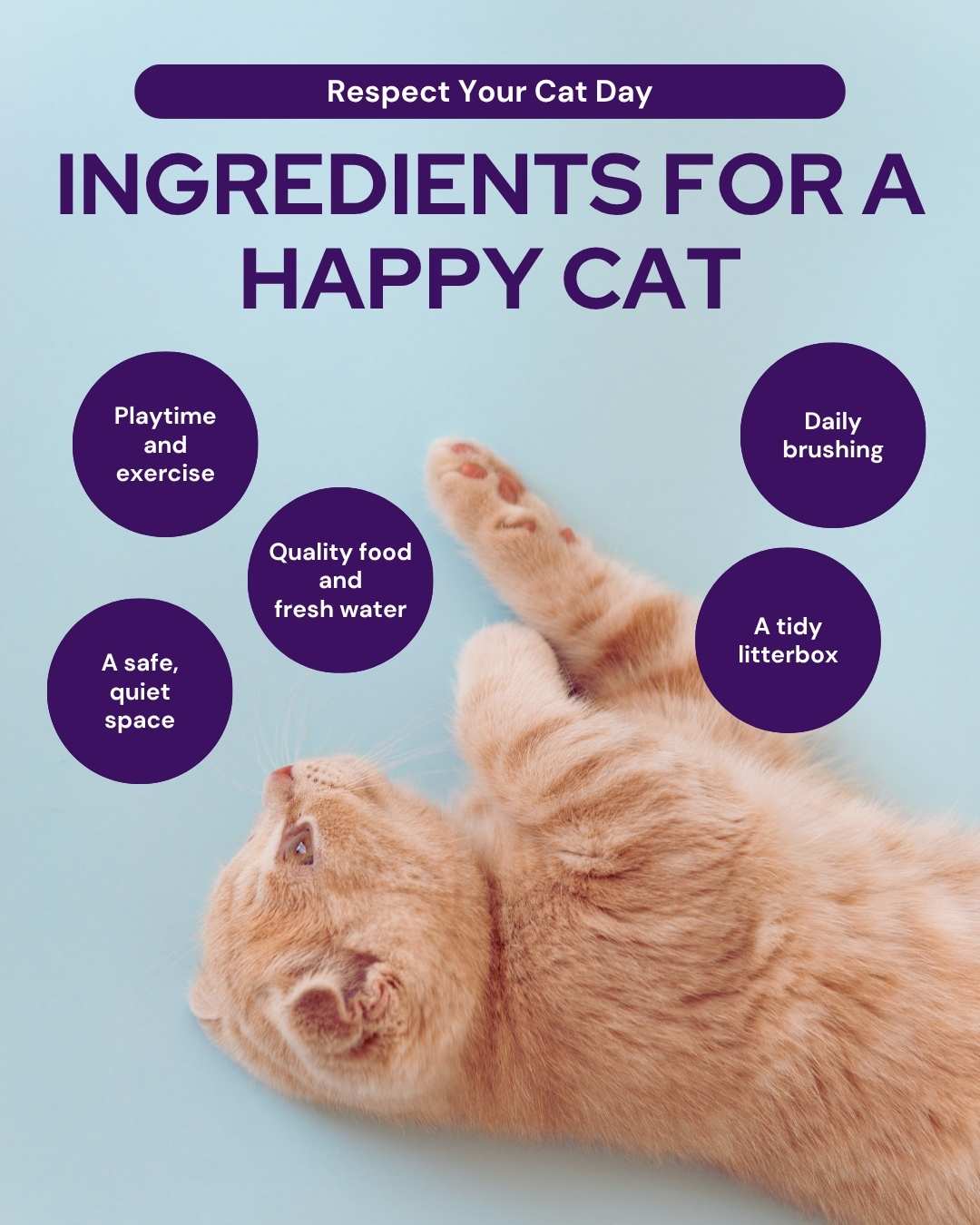 March veterinary marketing freebies AU NZ 7