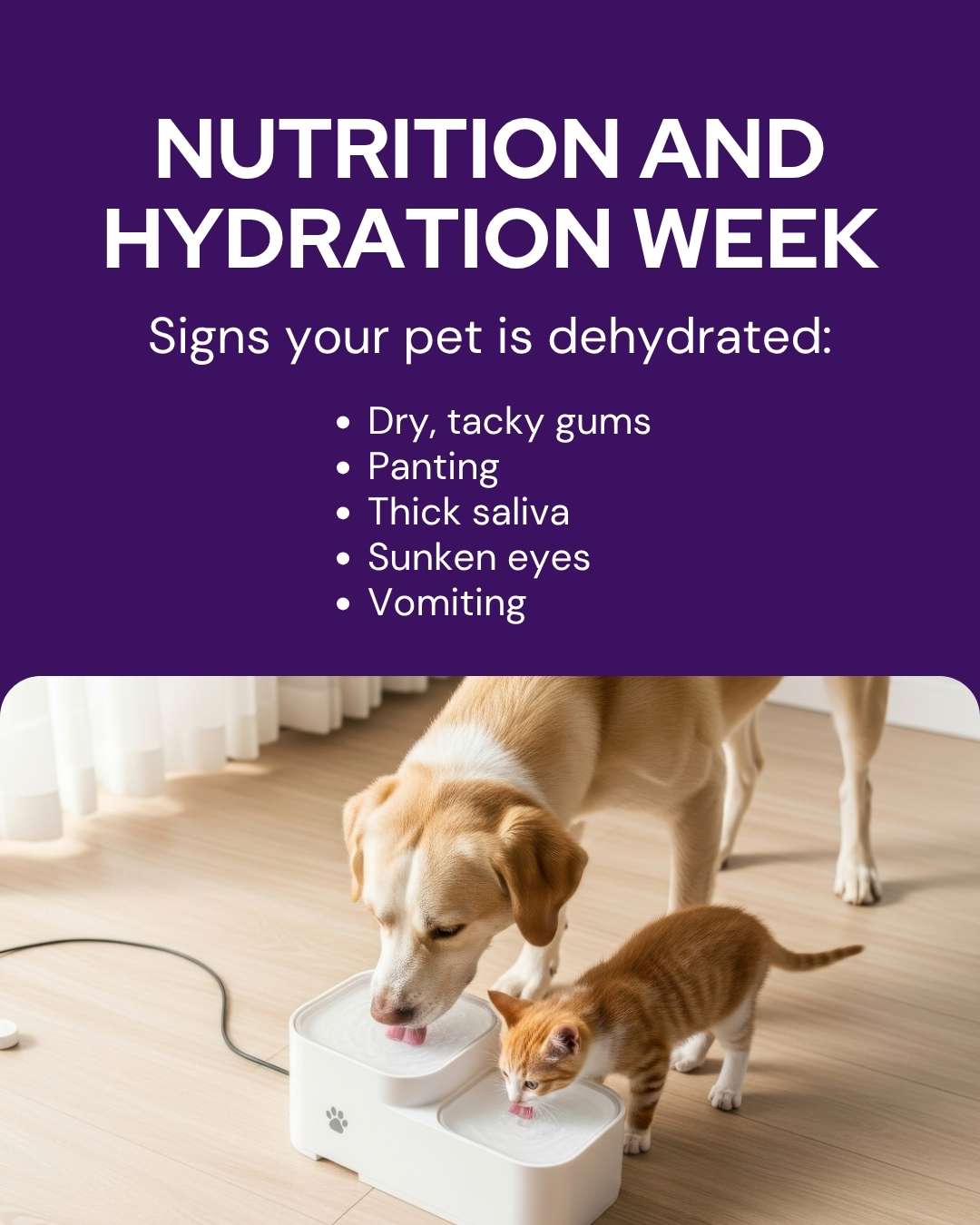 March veterinary marketing freebies UK EU 4