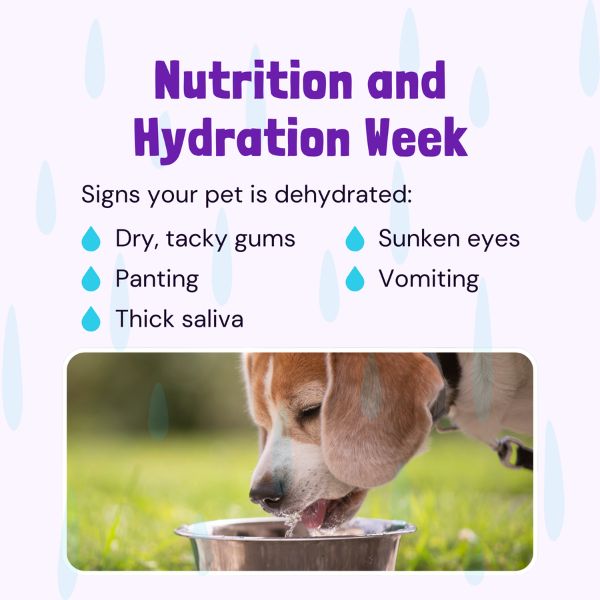 Nutrition and Hydration Week march