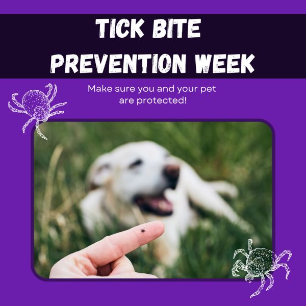 Tick Bite Prevention Week march