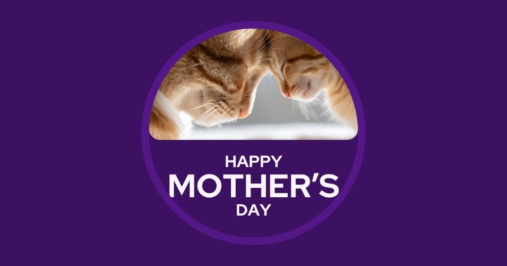 Veterinary Marketing Ideas for March UK EU