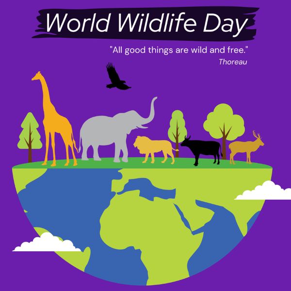 world wildlife day march freebies Vetstoria