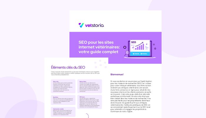 SEO Guide Vetstoria Convenience Campaign - French image