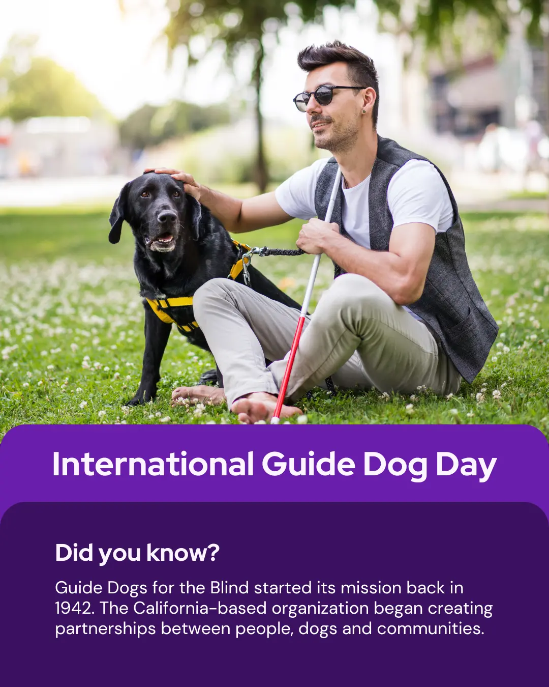 Vetstoria April monthly freebies blog 10