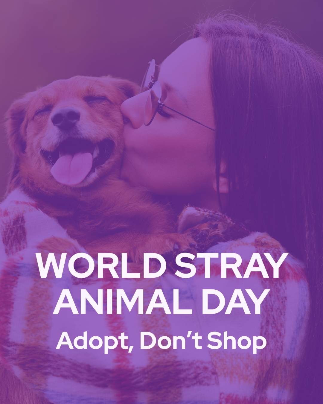 Vetstoria April monthly freebies blog 15