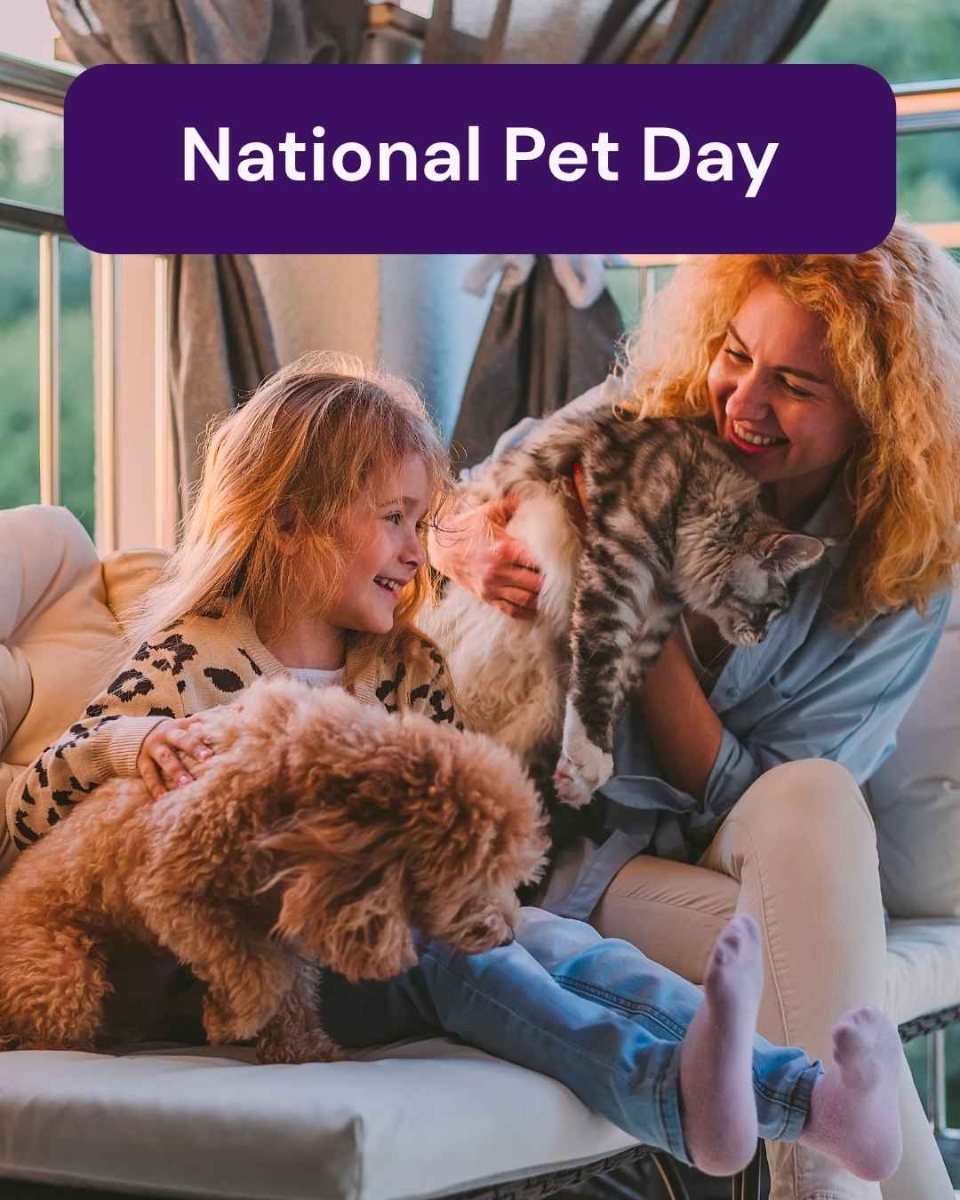 Vetstoria April monthly freebies blog 17