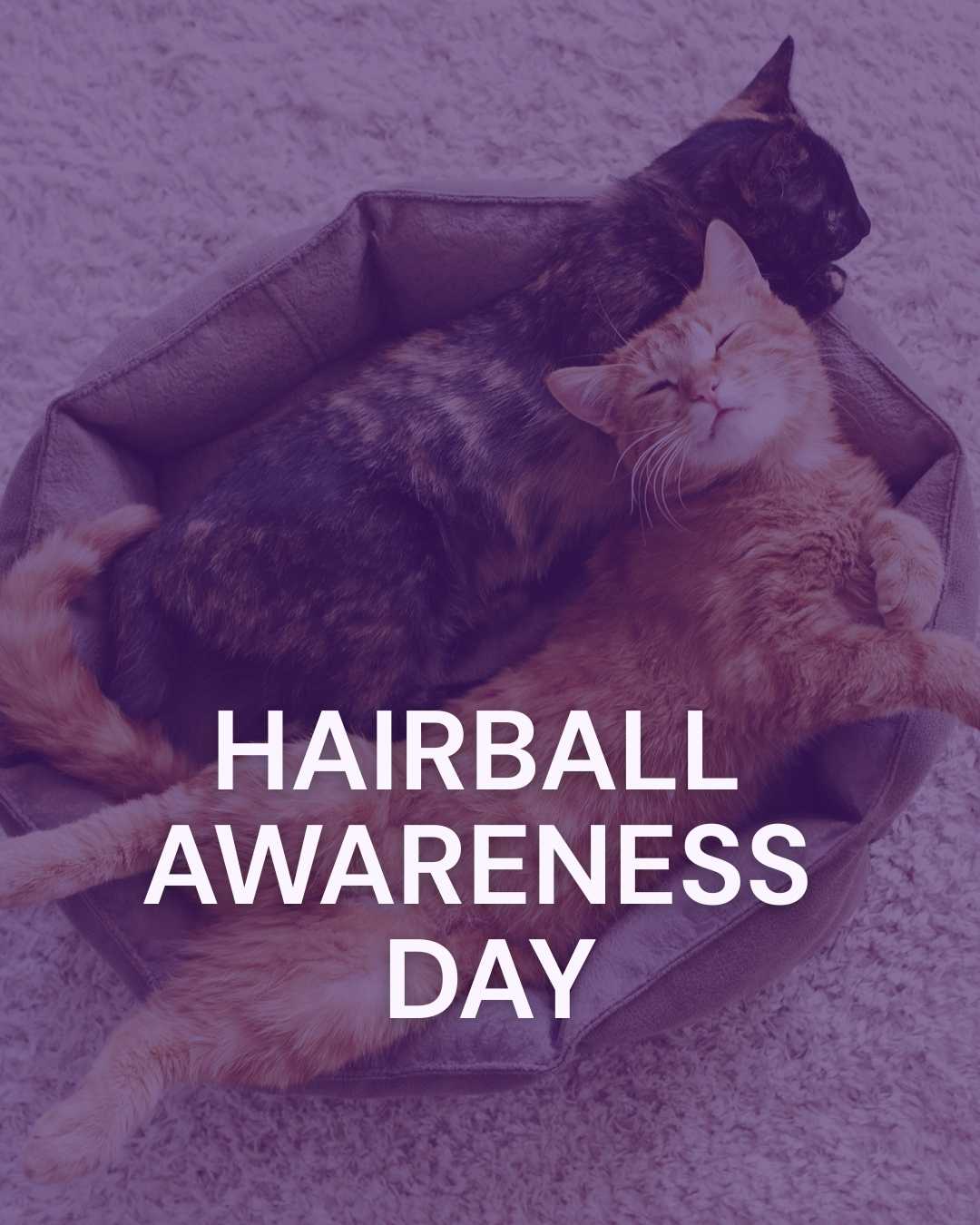 Vetstoria April monthly freebies blog 18