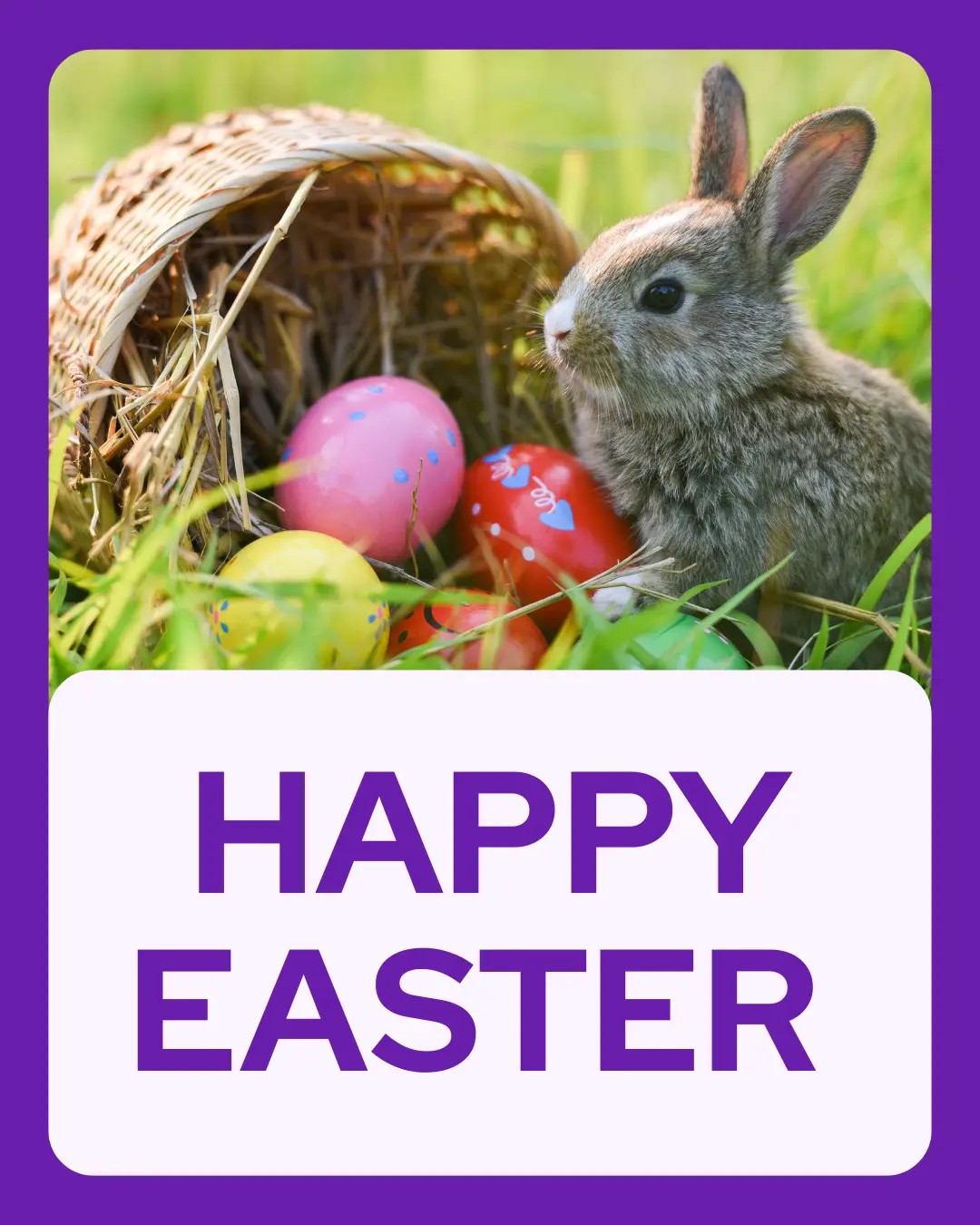 Vetstoria April monthly freebies blog 2